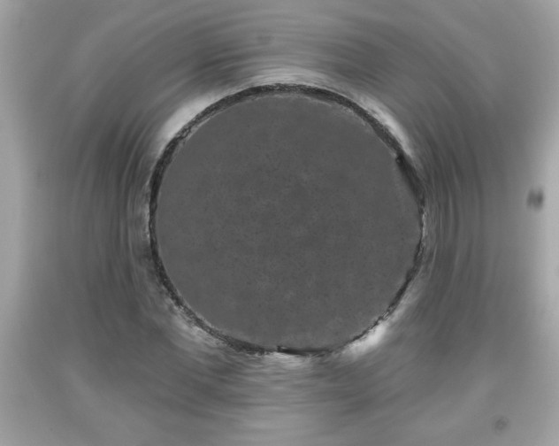 X0000091950877200709131202