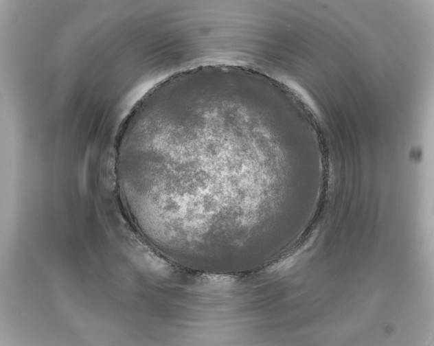 X0000091950878200709131202