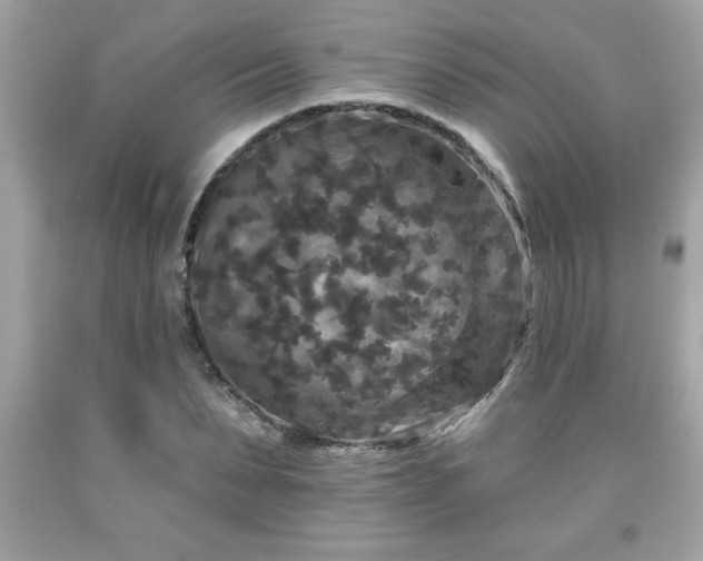 X0000091950879200709131202