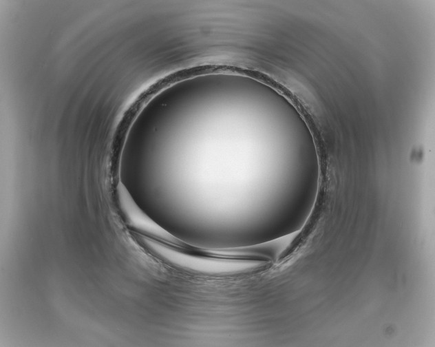X0000091950880200709131202