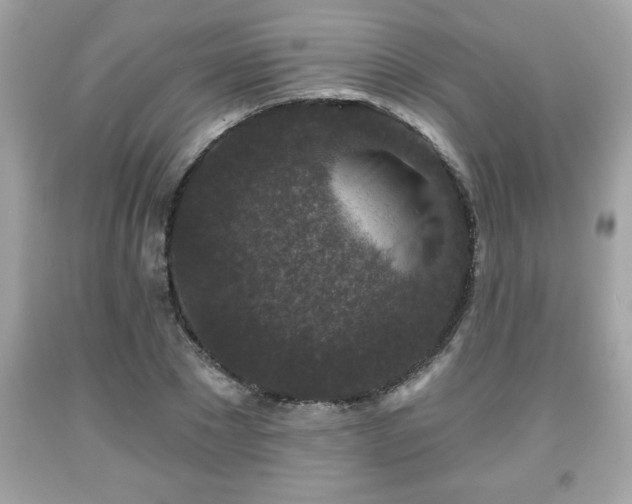 X0000091950881200709131202