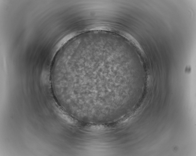 X0000091950882200709131202