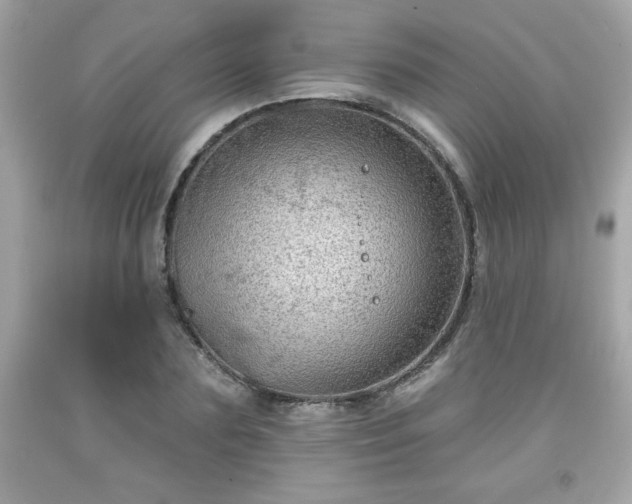 X0000091950883200709131202