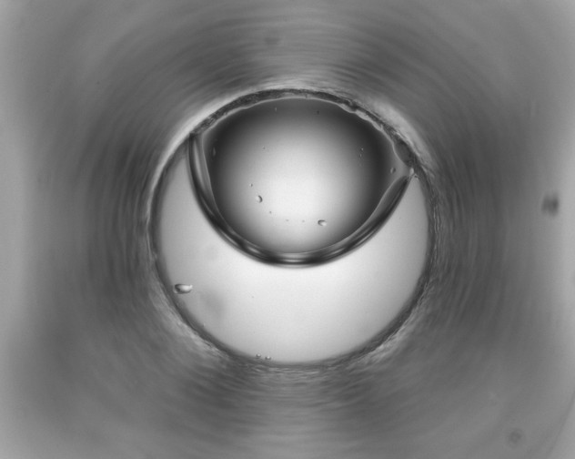 X0000091950884200709131202