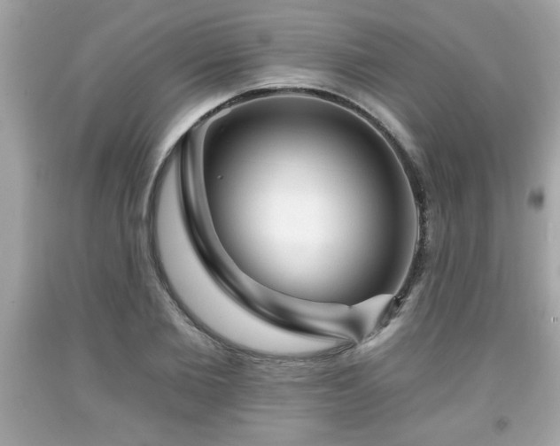 X0000091950885200709131202