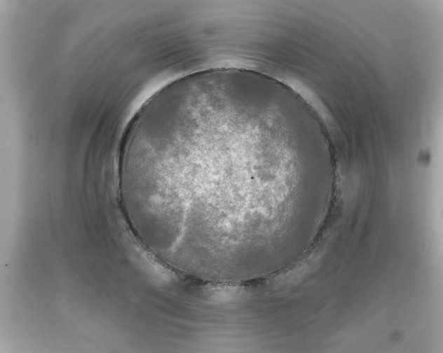 X0000091950886200709131202