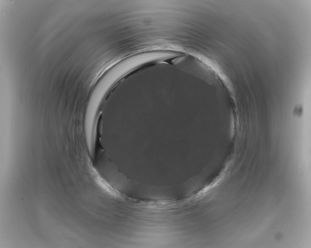 X0000091950889200709131202