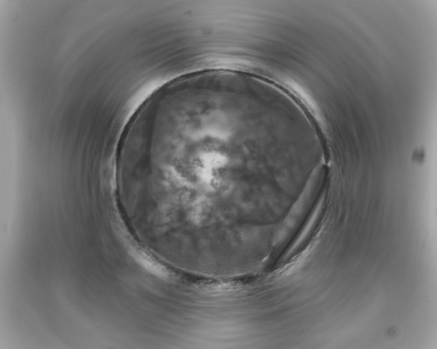 X0000091950891200709131202