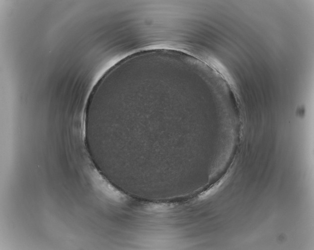 X0000091950892200709131202