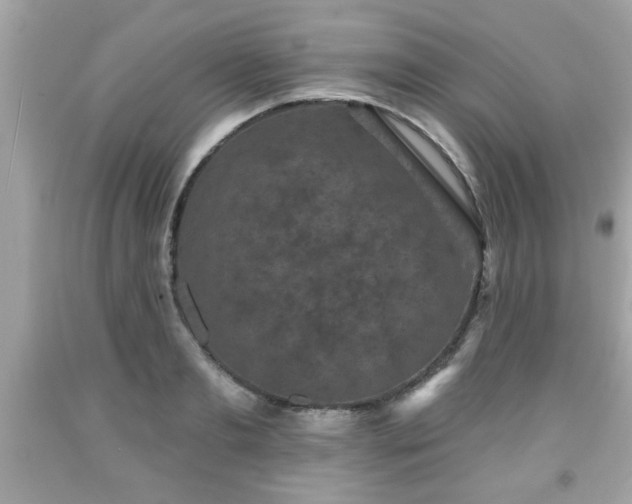 X0000091950893200709131202