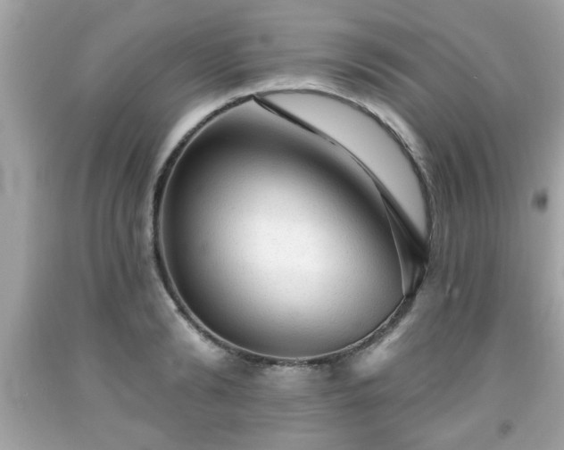 X0000091950894200709131202