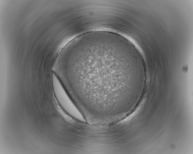 X0000091950897200709131202