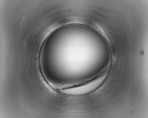 X0000091950898200709131202