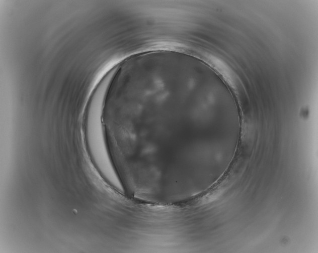 X0000091950899200709131202