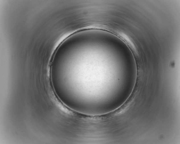 X0000091950900200709131201