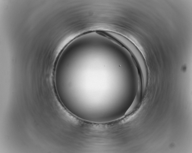 X0000091950901200709131201