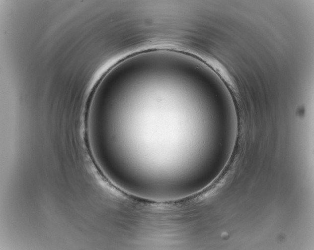 X0000091950904200709131201