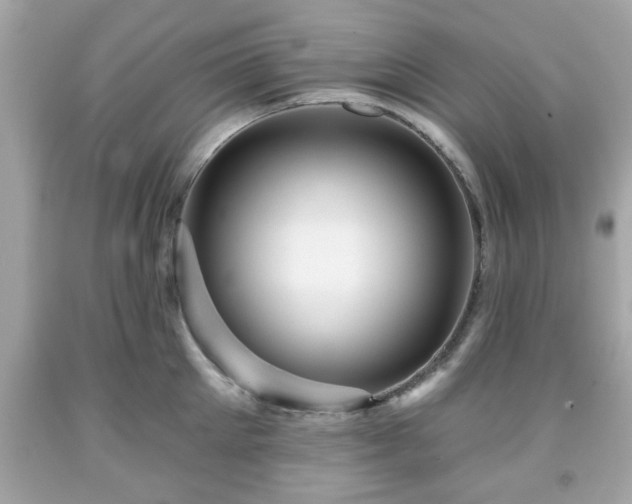 X0000091950905200709131201