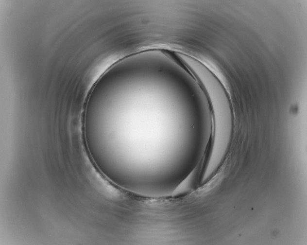 X0000091950906200709131201