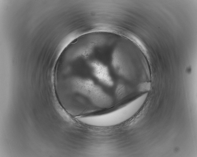 X0000091950907200709131201