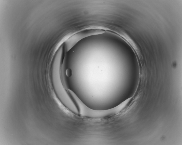 X0000091950909200709131201