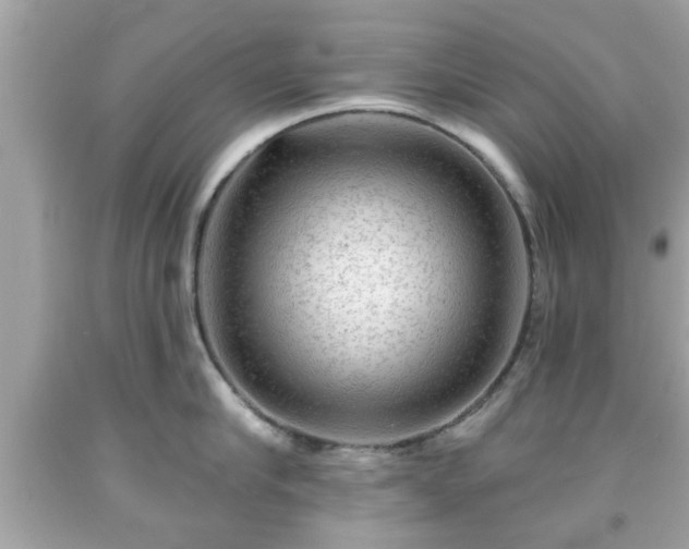 X0000091950910200709131201