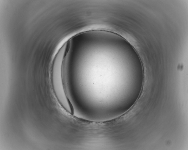 X0000091950912200709131201