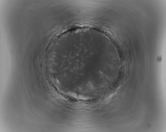 X0000091950913200709131201