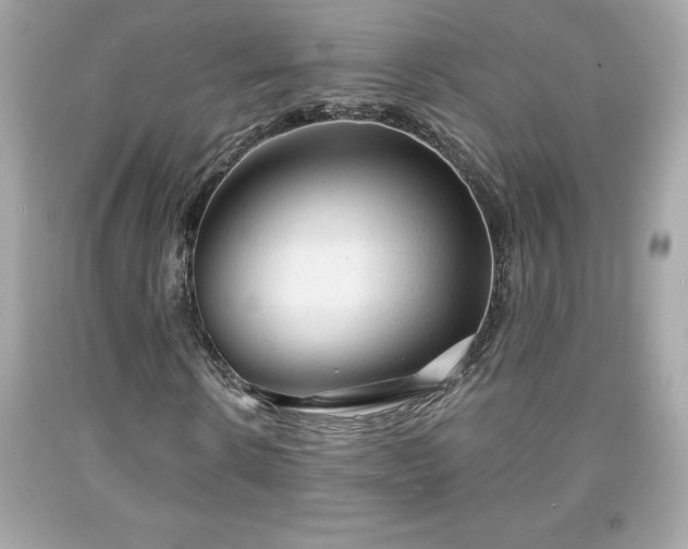 X0000091950914200709131201