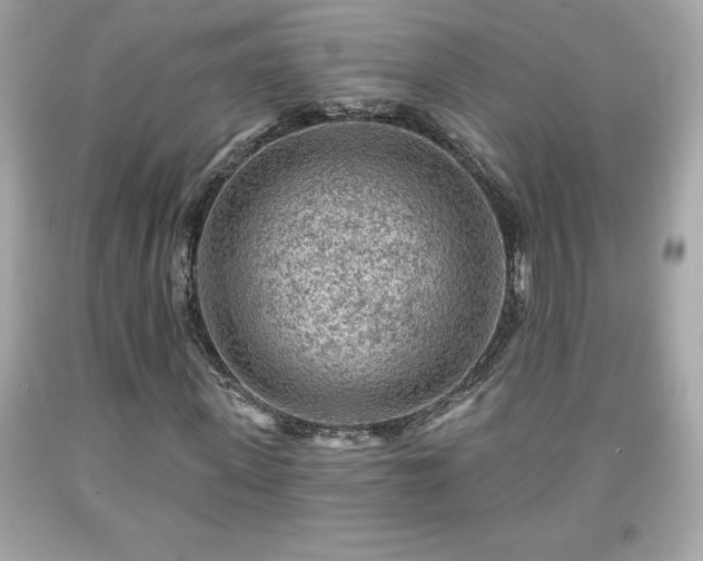 X0000091950915200709131201