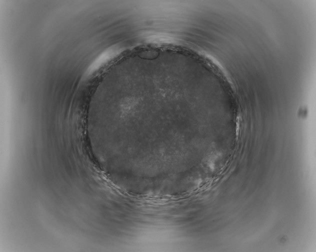 X0000091950919200709131201