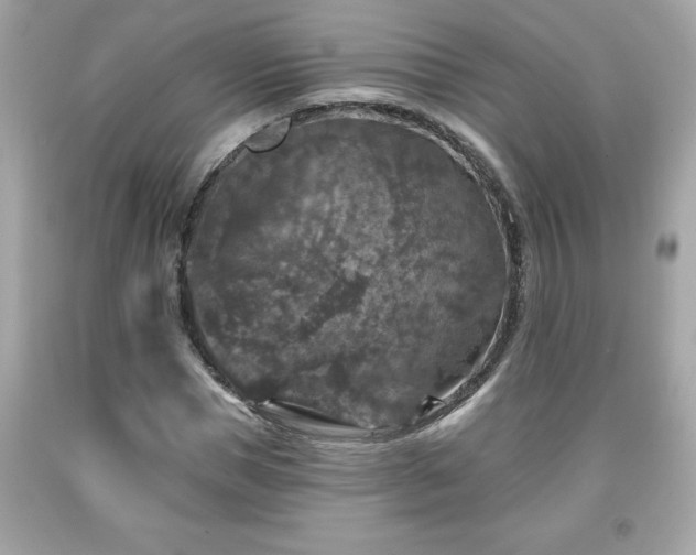 X0000091950921200709131201