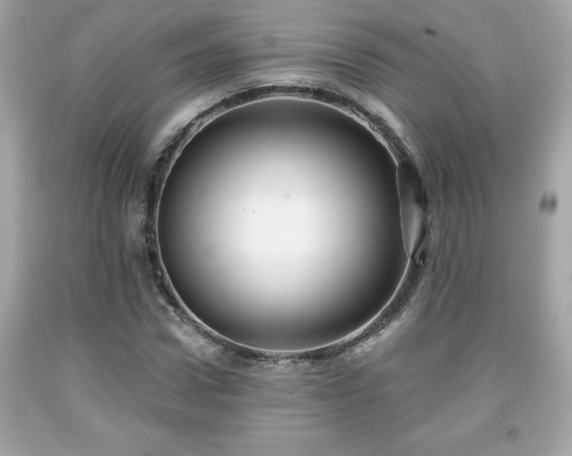 X0000091950922200709131201
