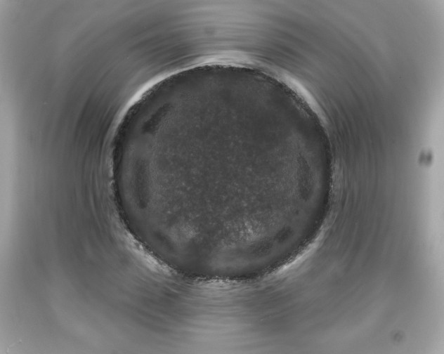X0000091950923200709131201