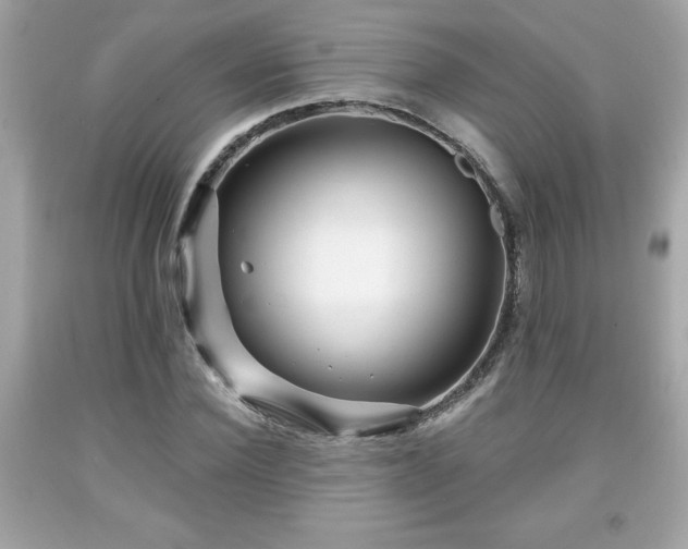 X0000091950924200709131201