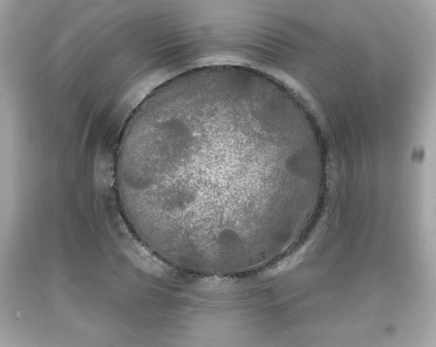 X0000091950929200709131201