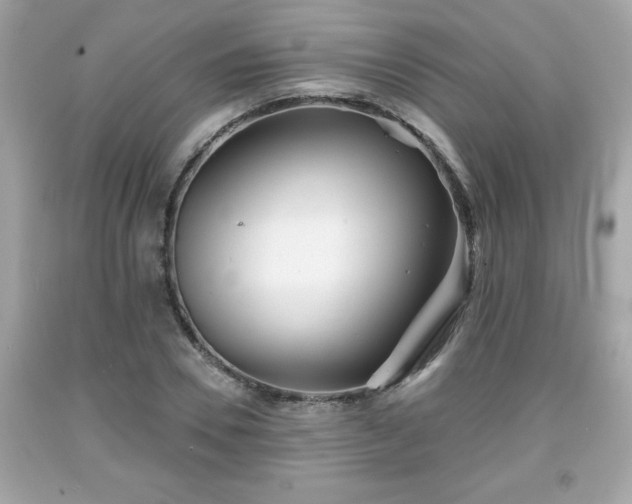 X0000091950930200709131201