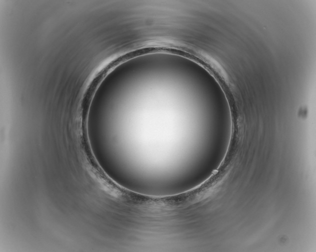 X0000091950931200709131201