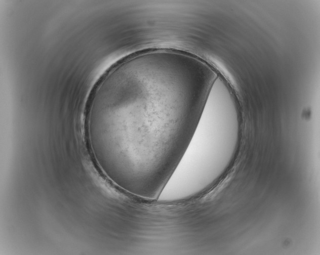 X0000091950932200709131201