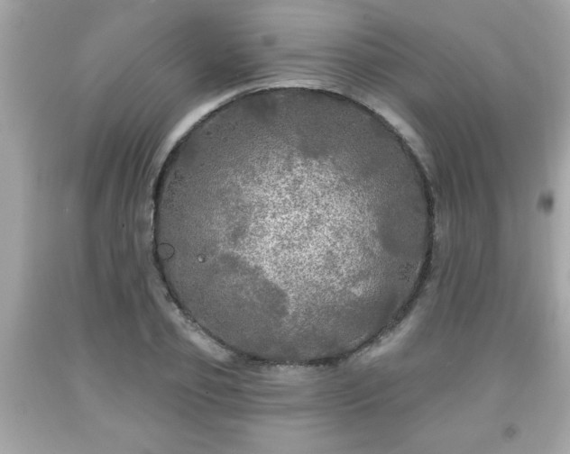 X0000091950933200709131201