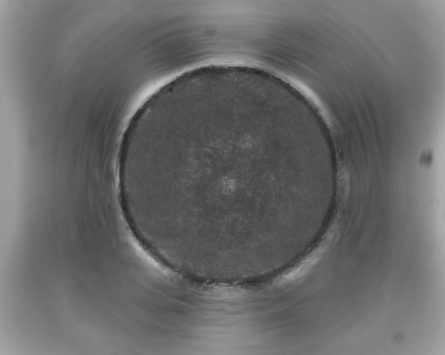 X0000091950935200709131201