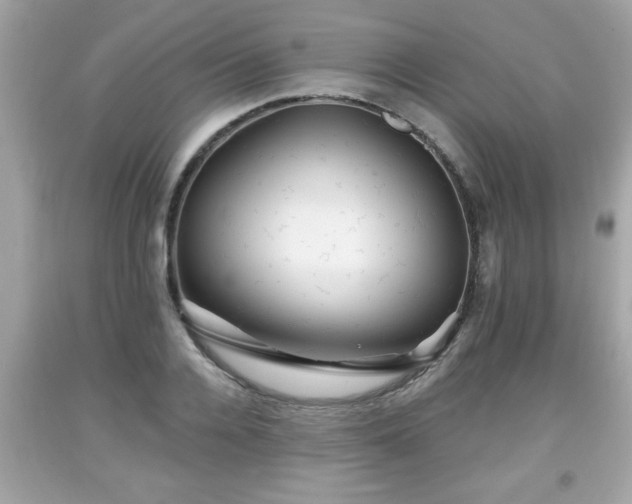 X0000091950936200709131201