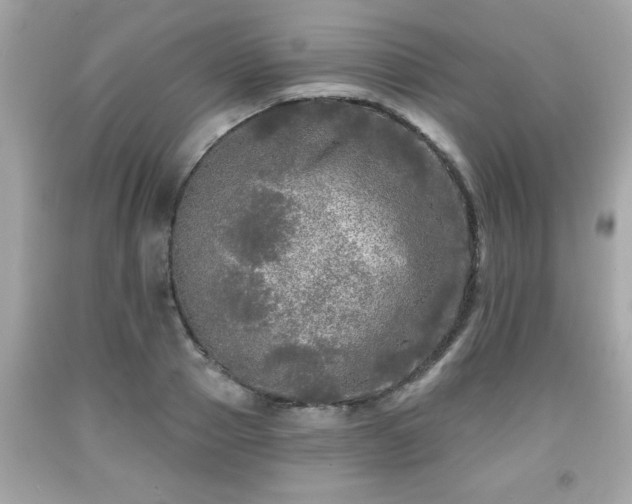 X0000091950937200709131201