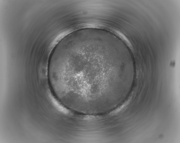 X0000091950938200709131201