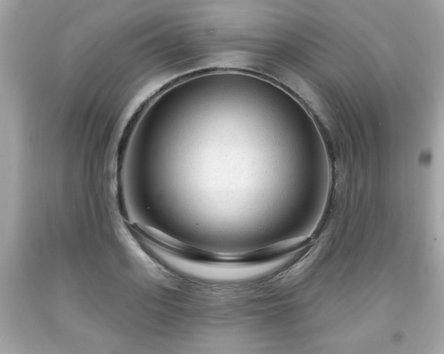 X0000091950939200709131201