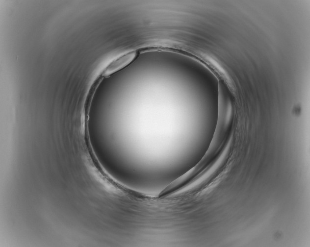 X0000091950940200709131201