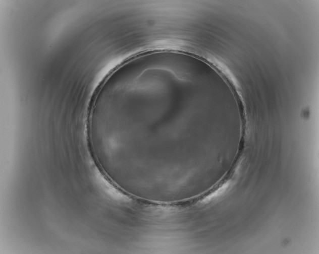 X0000091950941200709131201