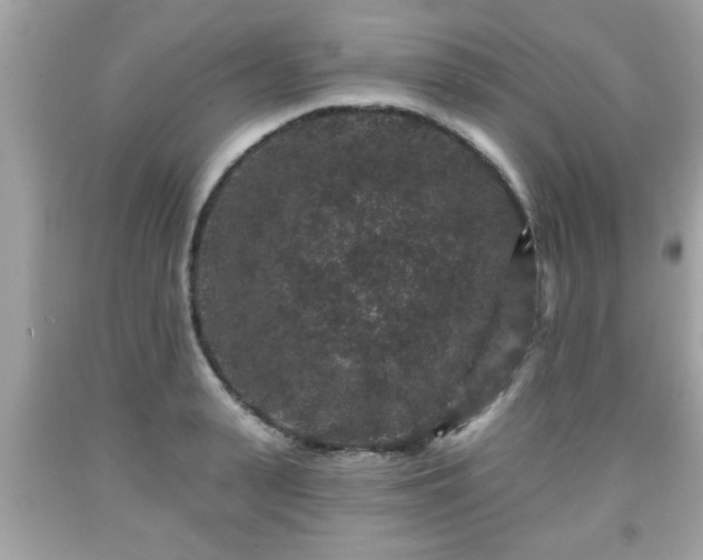 X0000091950943200709131201