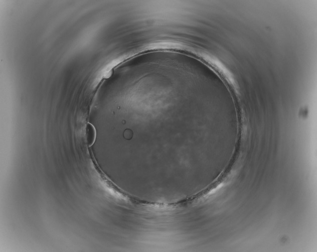 X0000091950945200709131201