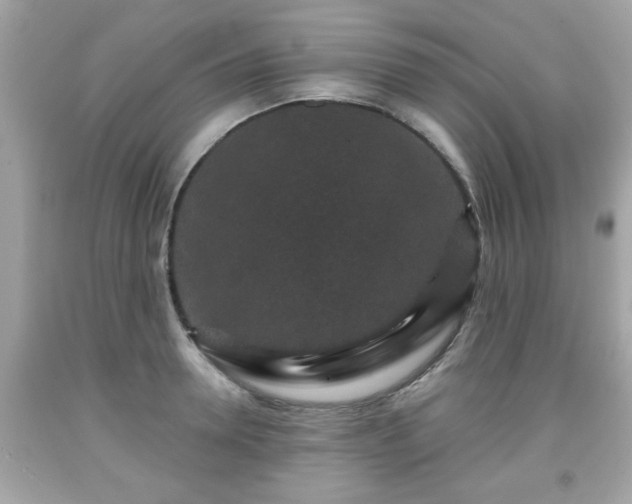 X0000091950946200709131201